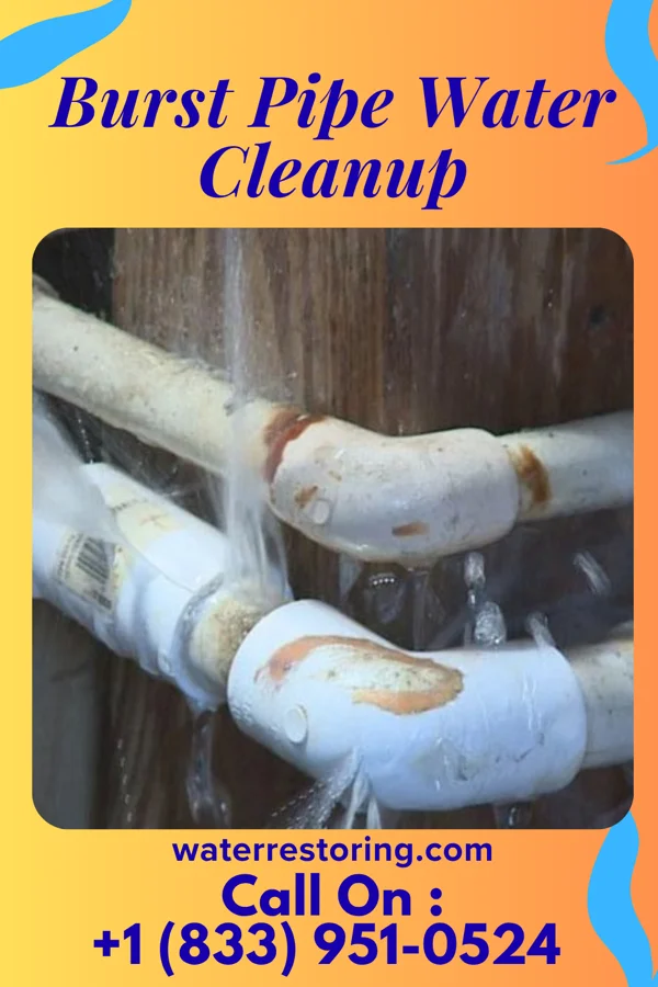 Burst Pipe Water Cleanup in Abbottstown, PA