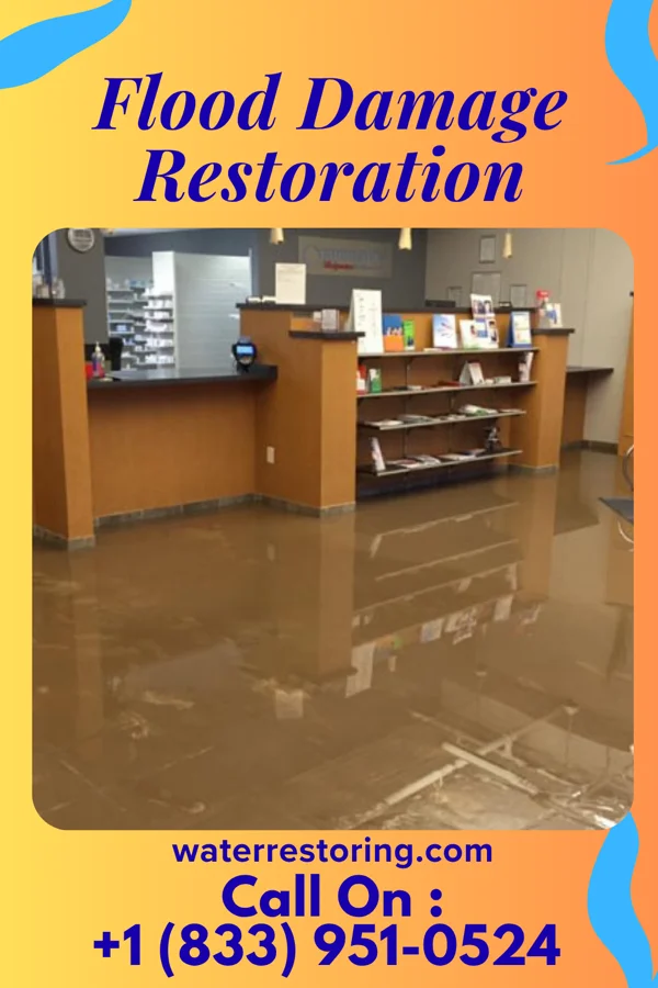Flood Damage Restoration in Abbottstown, PA